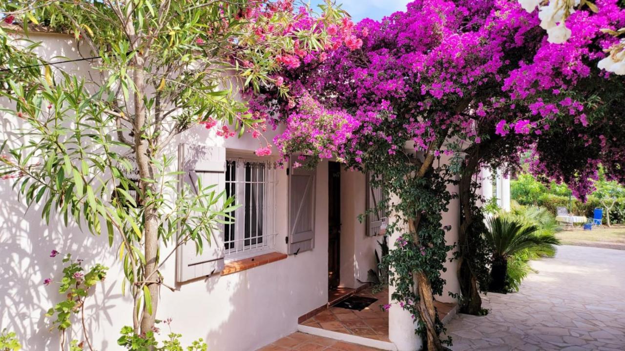 Villa Provencale A Sainte Maxime, Golf De Saint Tropez Exterior photo