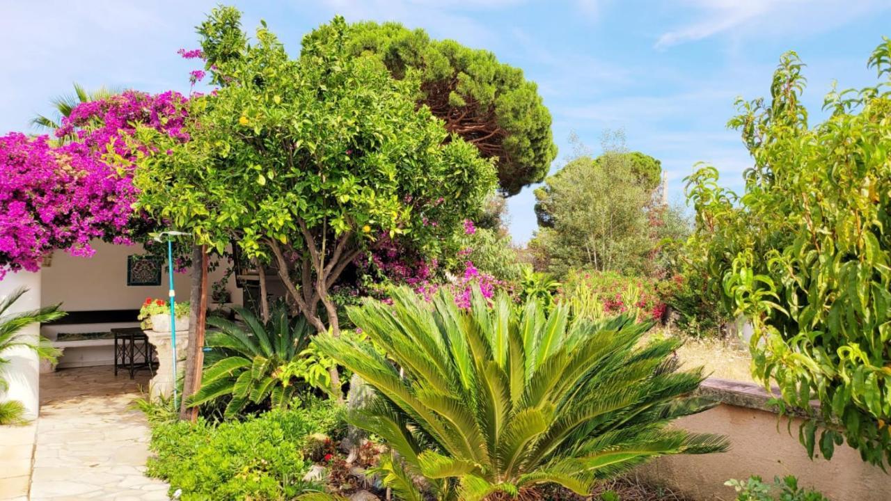 Villa Provencale A Sainte Maxime, Golf De Saint Tropez Exterior photo